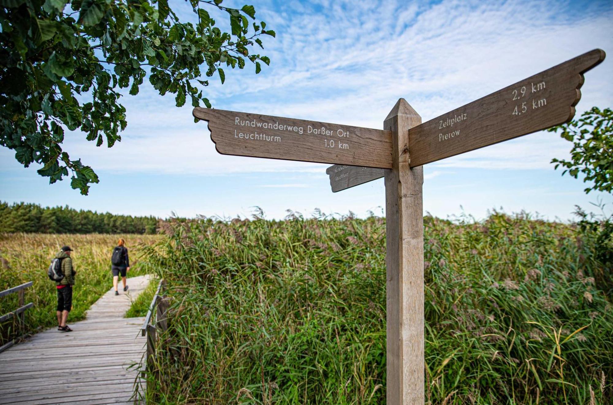 Strandhafer An Der Seebruecke Zingst Eksteriør billede