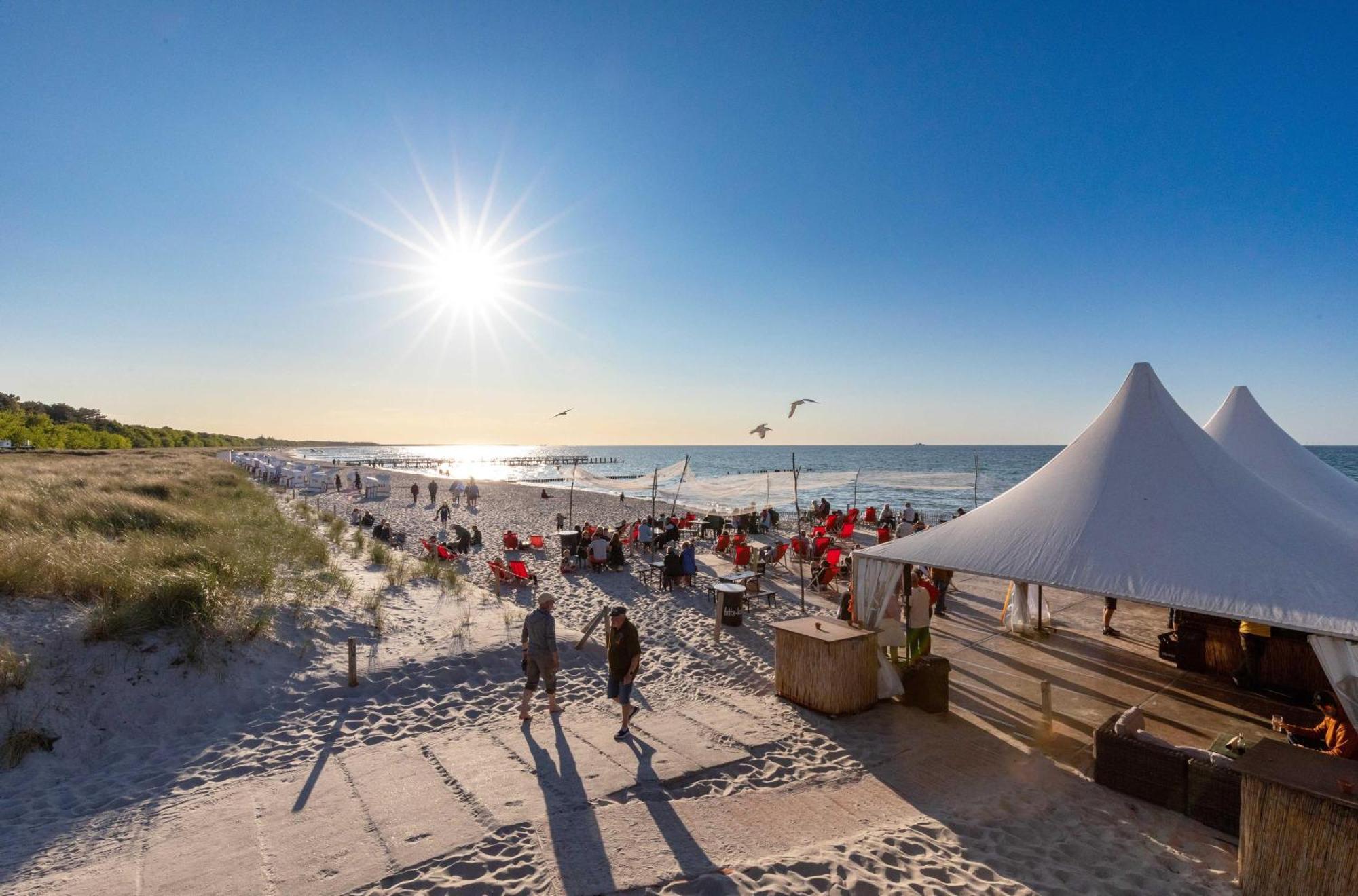 Strandhafer An Der Seebruecke Zingst Eksteriør billede