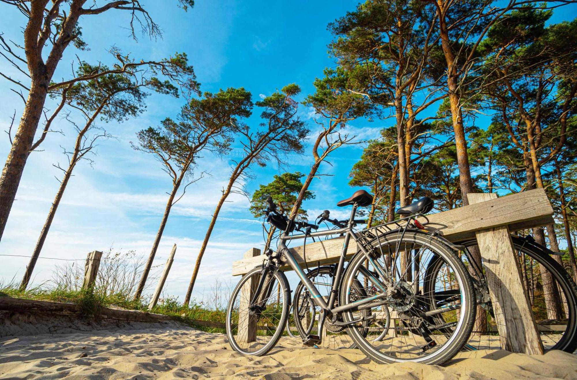 Strandhafer An Der Seebruecke Zingst Eksteriør billede