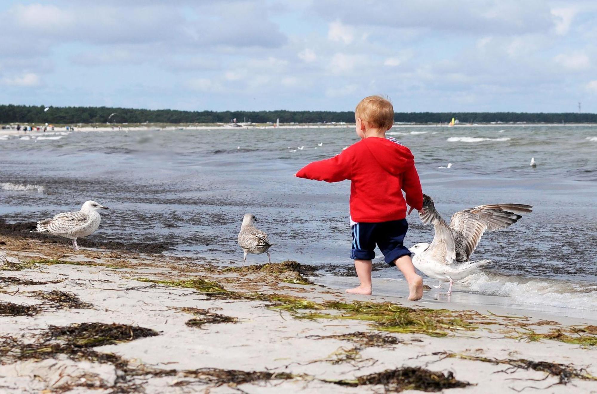 Strandhafer An Der Seebruecke Zingst Eksteriør billede
